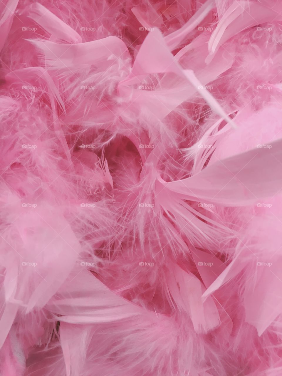 Pink feathers