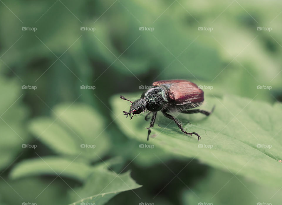 thinking about future