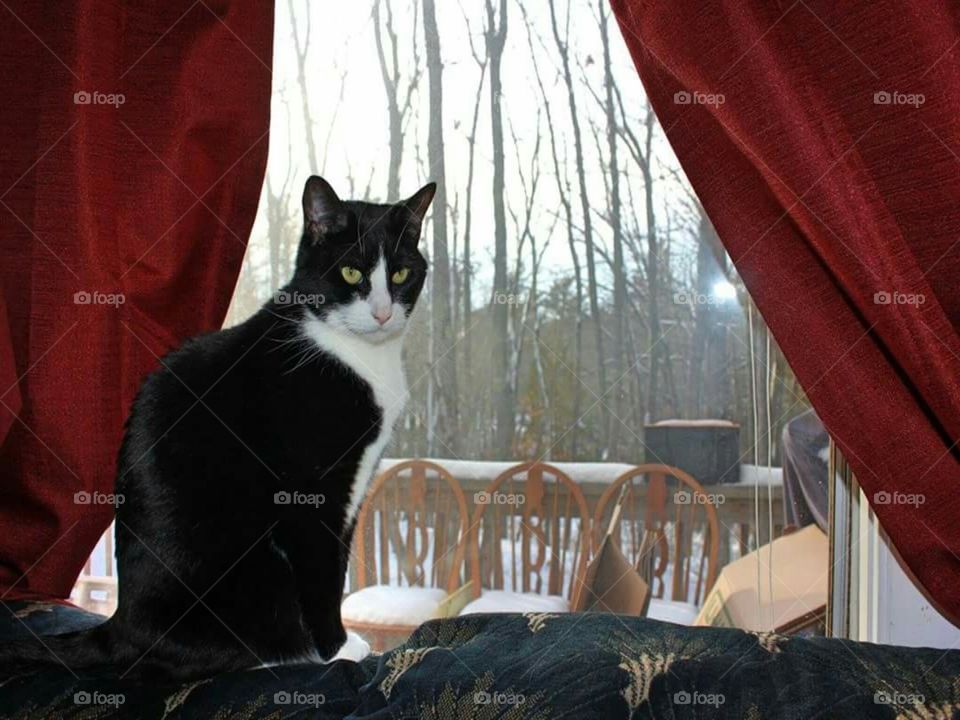 Misses At The Window