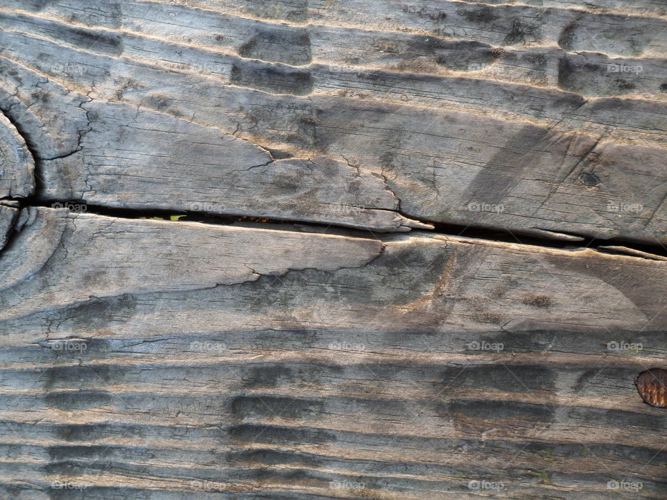 wood texture