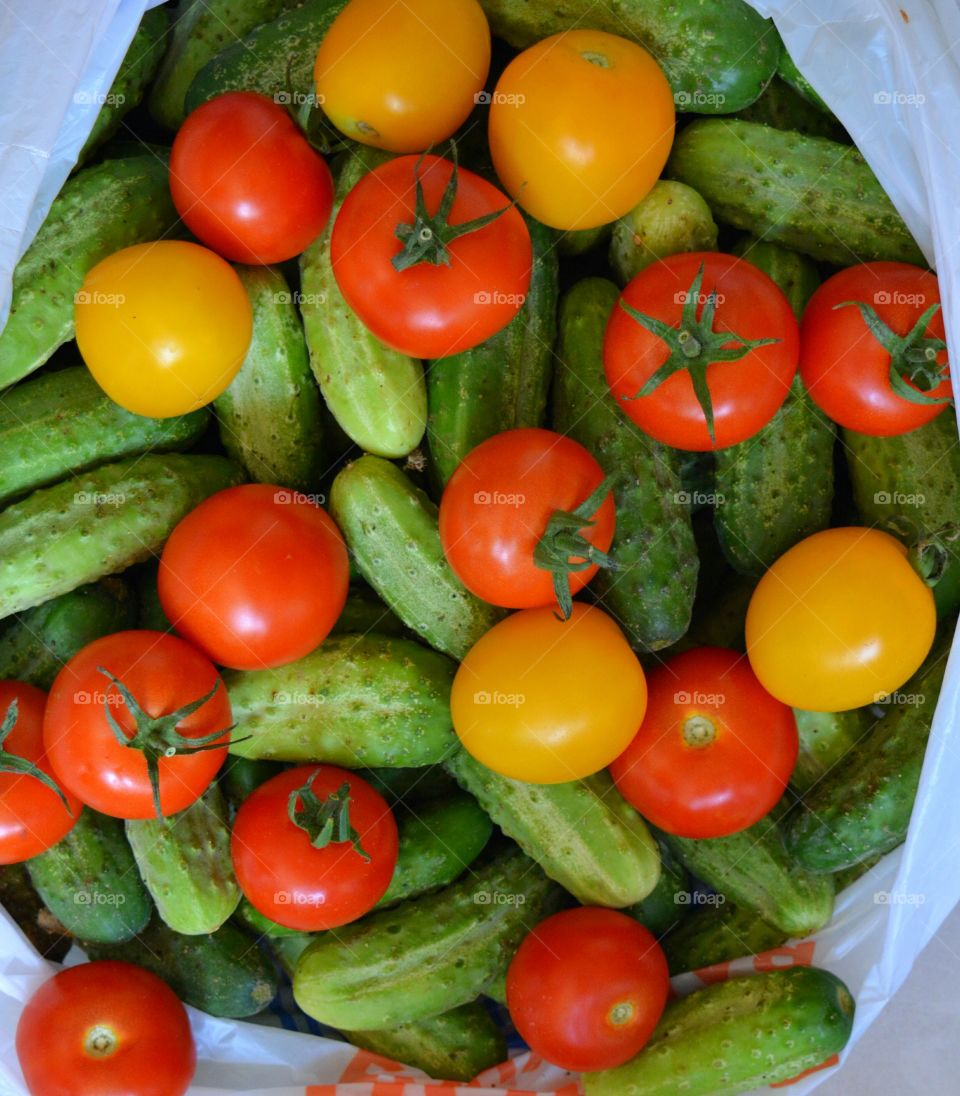 vegetables harvest