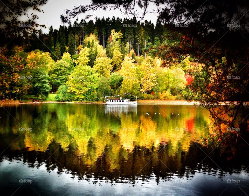 Autumn Lake