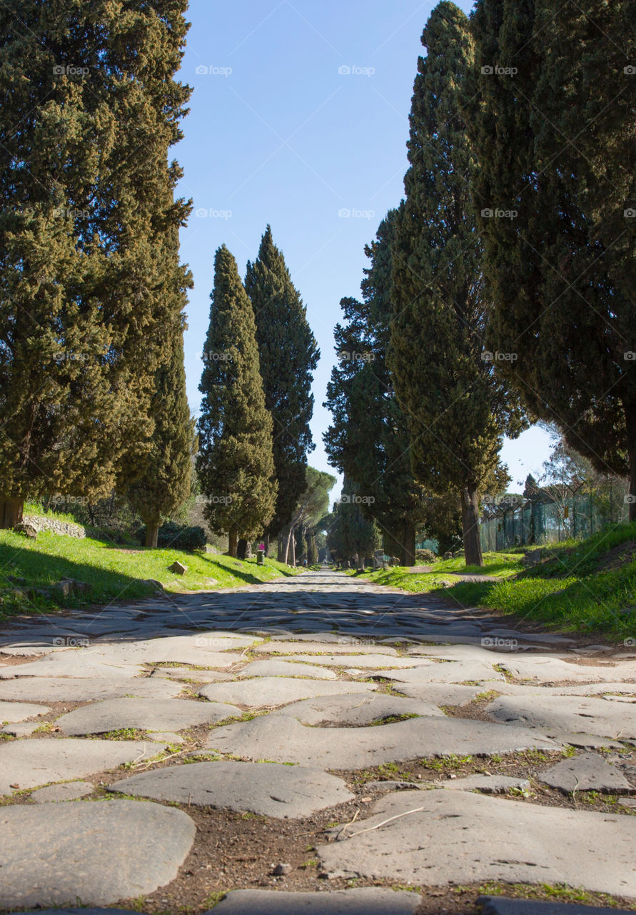 Via Appia Antica. Appian way, Rome
