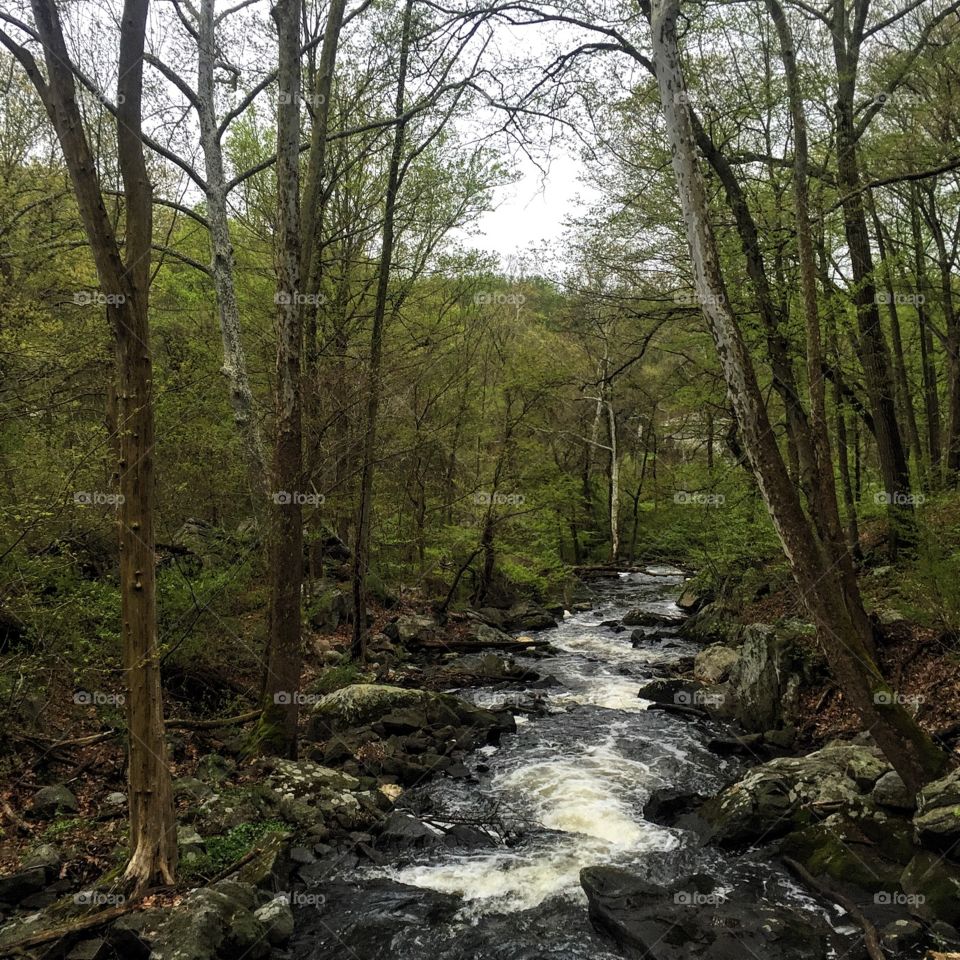 "Look deep into nature, and then you will understand everything better." Albert Einstein
