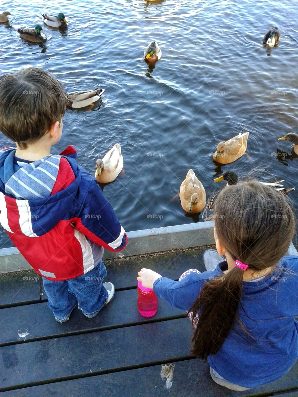 my kids enjoying the ducks