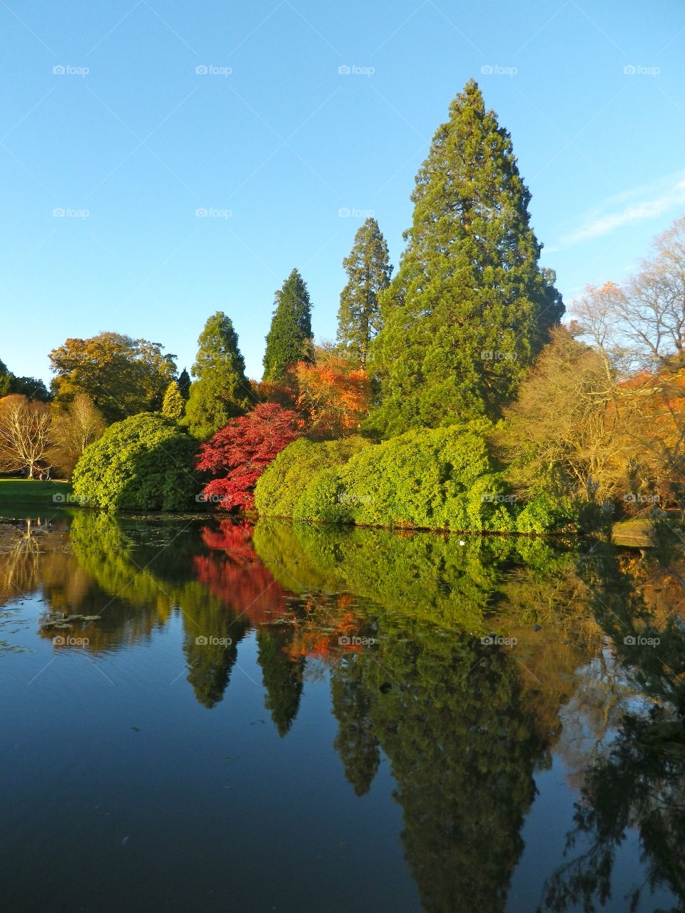 Colourful trees reflected in lake, Sheffield Park, Sussex, England