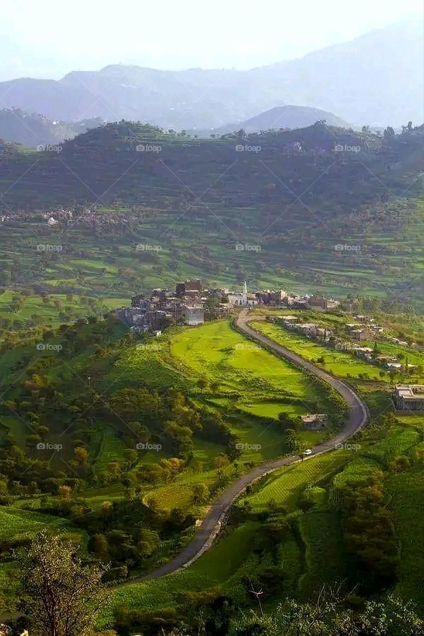 A very beautiful picture, and there is no better picture than it. There is no better picture of green herbs and colorful, red and white roses than it. Glory be to God, the natural and picturesque view, and there is no more
