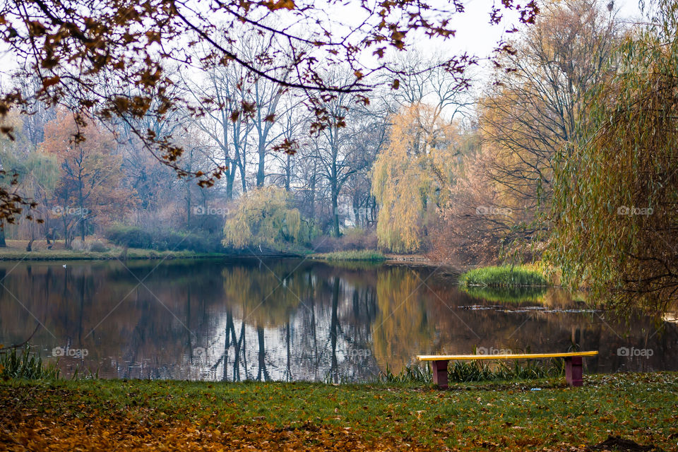 Park, autumn 