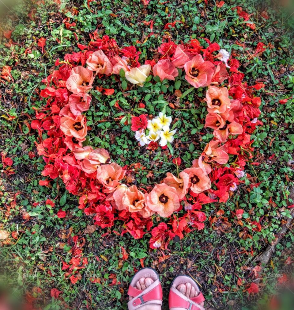The memories of summer: the flowers(phonex flower, Linden Hibiscus, frangipani) fell in the grass, that was a temporary beauty, but after took a photo, it became a beautiful memory forever, at once. love fallen flowers.