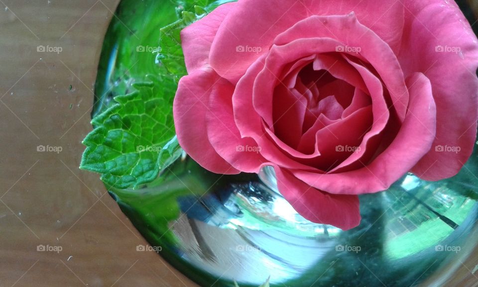 roses and mint. placed inside a glass with mint leaves