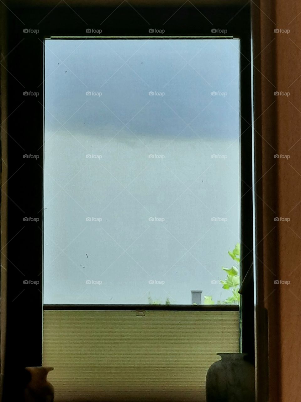 window vue of a rain front  and fragment of sunlit tree