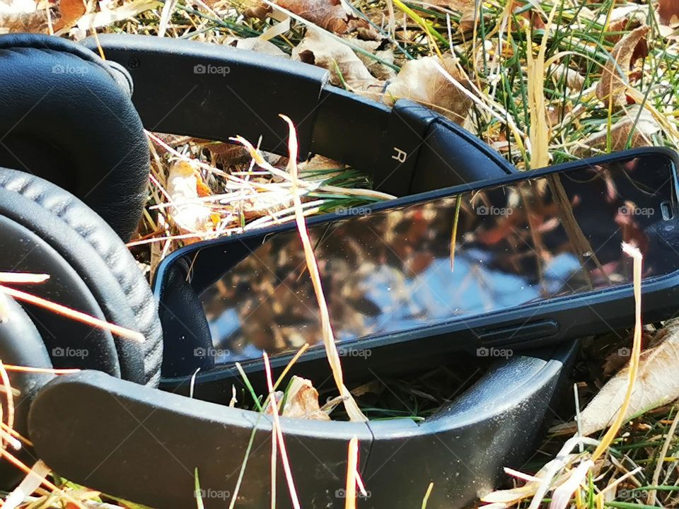 modern gadgets in nature's lab