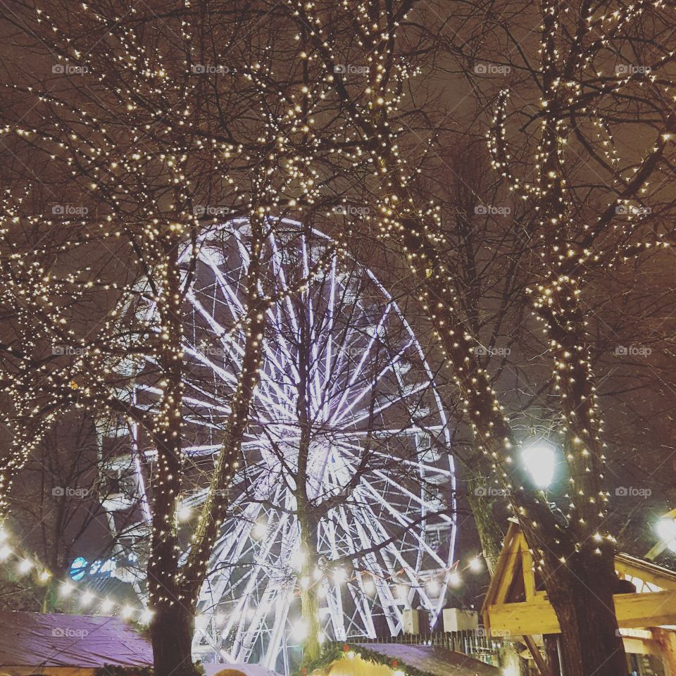 You loved ferris wheel more than roller coaster, because life shouldn't be lived at full speed but in anticipatient and appreciation ~ Amy Harmon