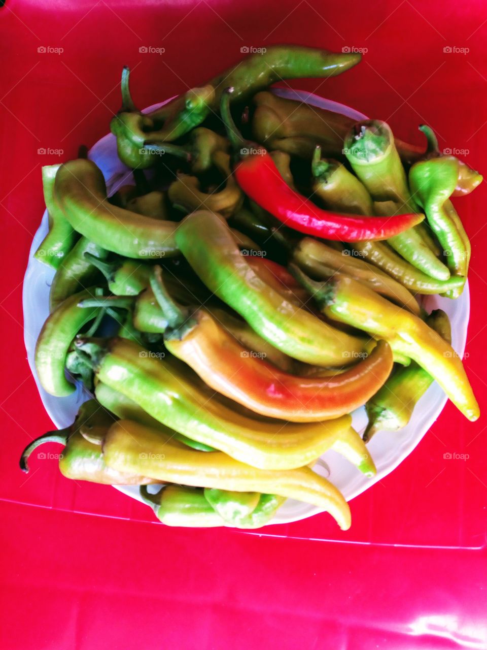 Sweet and hot green pepper from farms in Upper Egypt