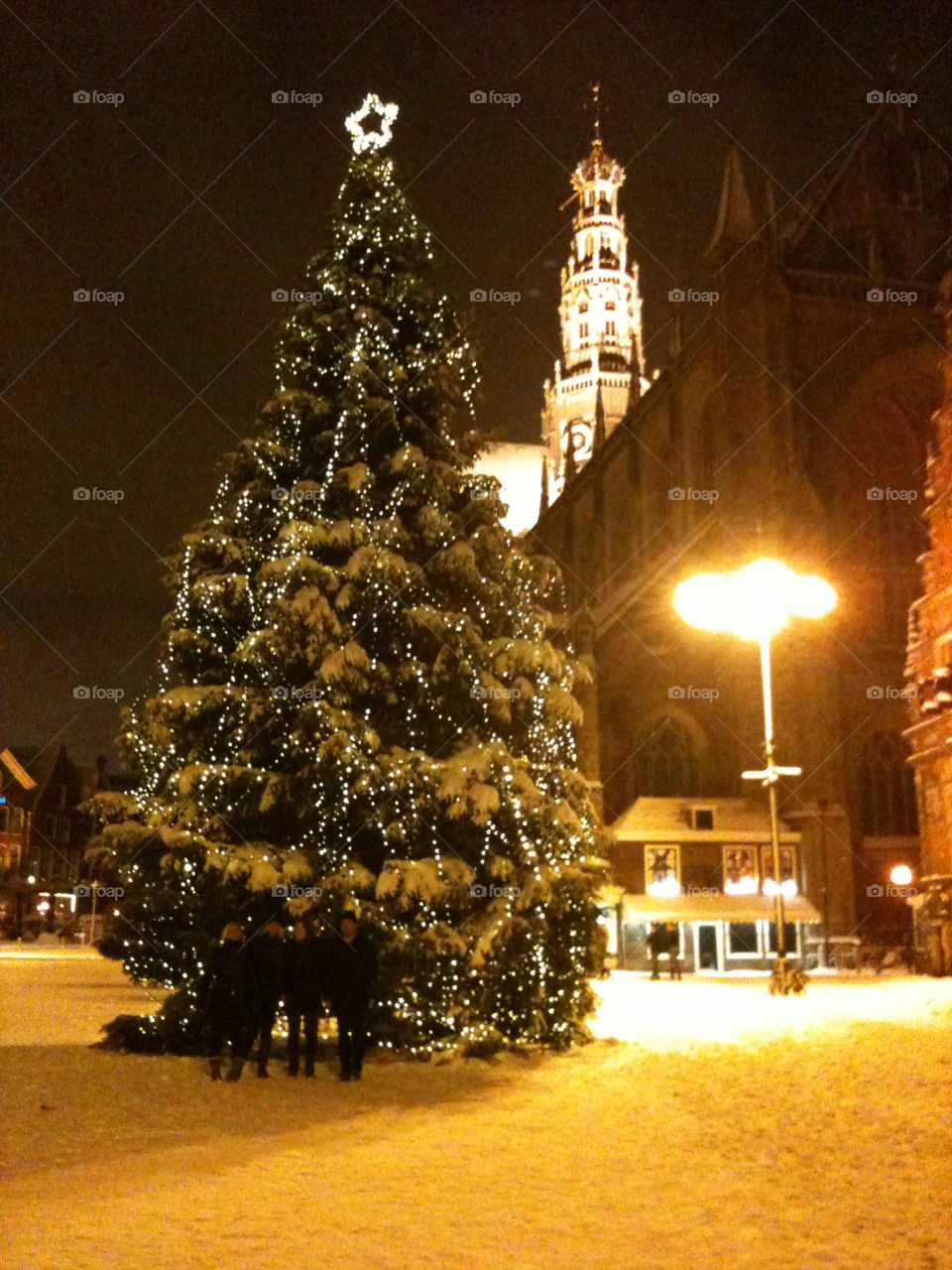 snow tree christmas night by haarlemash