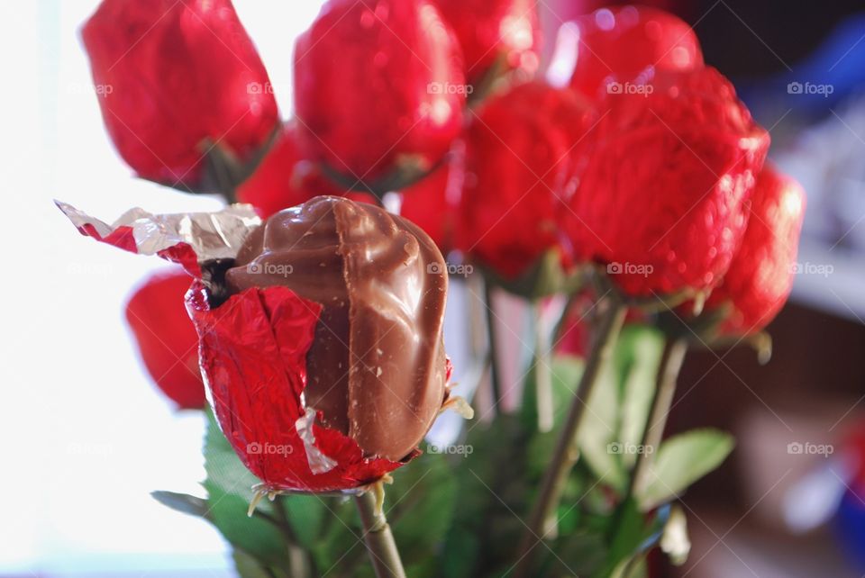 Chocolate roses