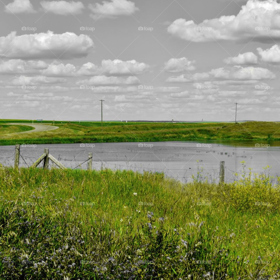 Peaceful walk to the pond 