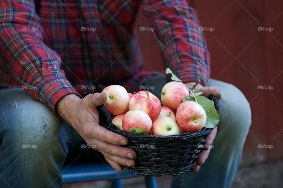 male hands with apple