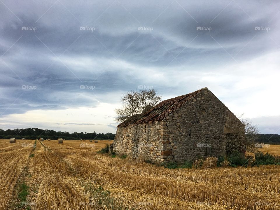 Ramshackled  barn against a landscape of bales of hay 