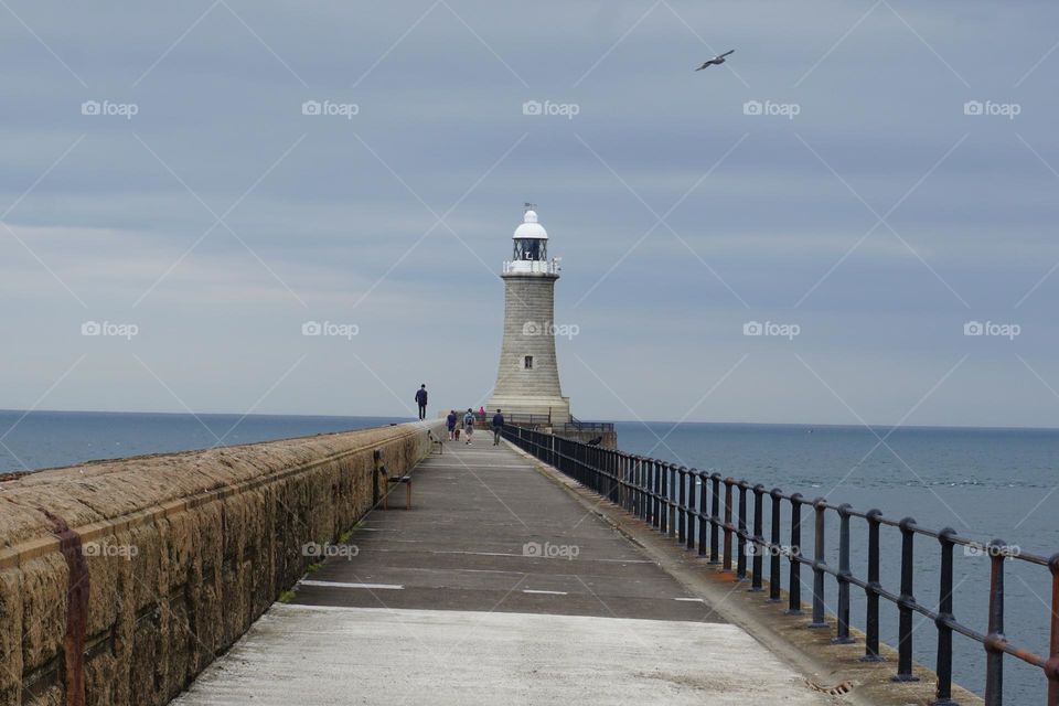 Lighthouse at the end of the pier … love the guy standing on the wall and the seagull flying high in the sky 💙