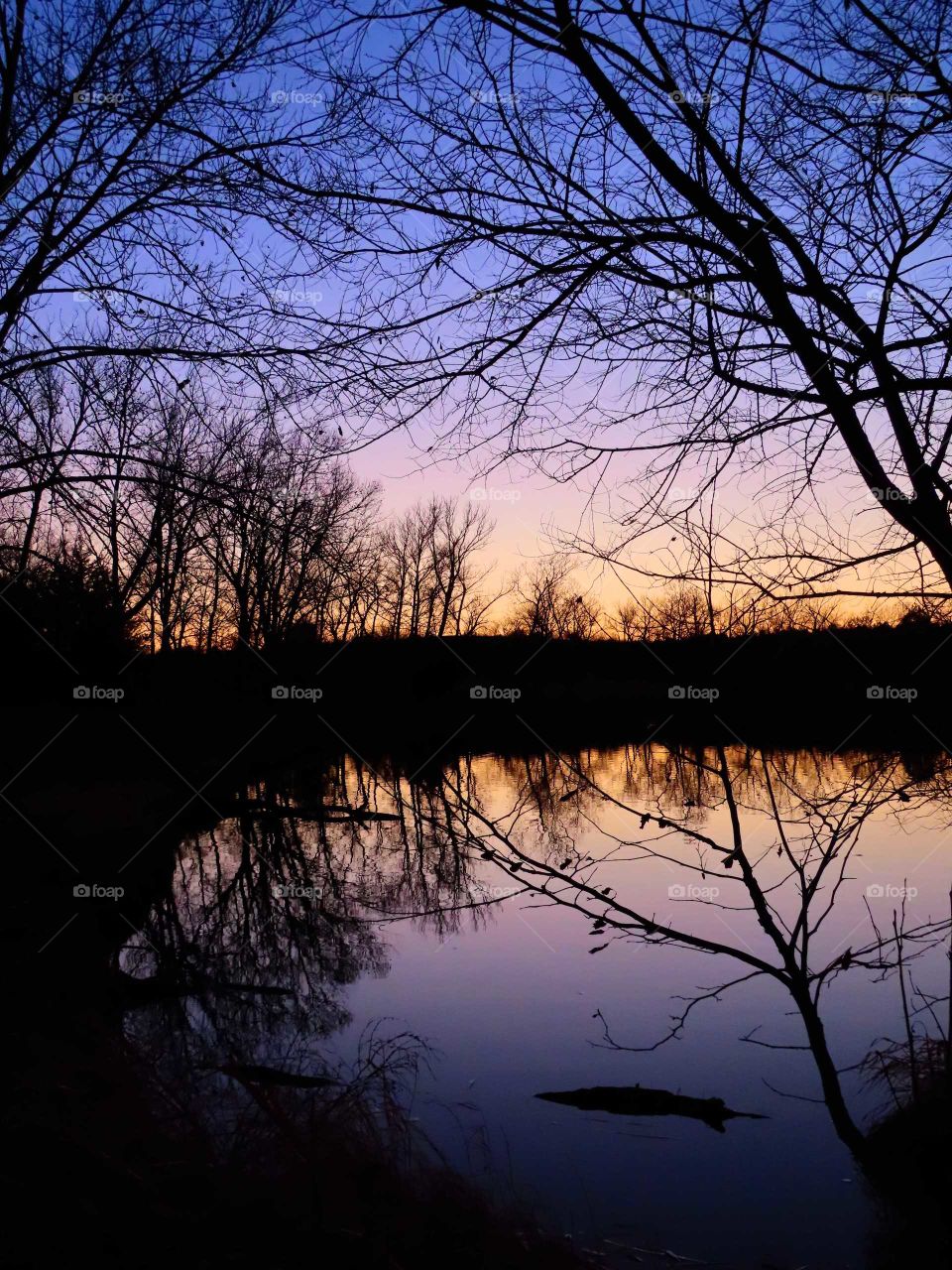 Goregous sunset thought the trees, calm waters reflecting Earth's beauty. "Colors of My Heart".