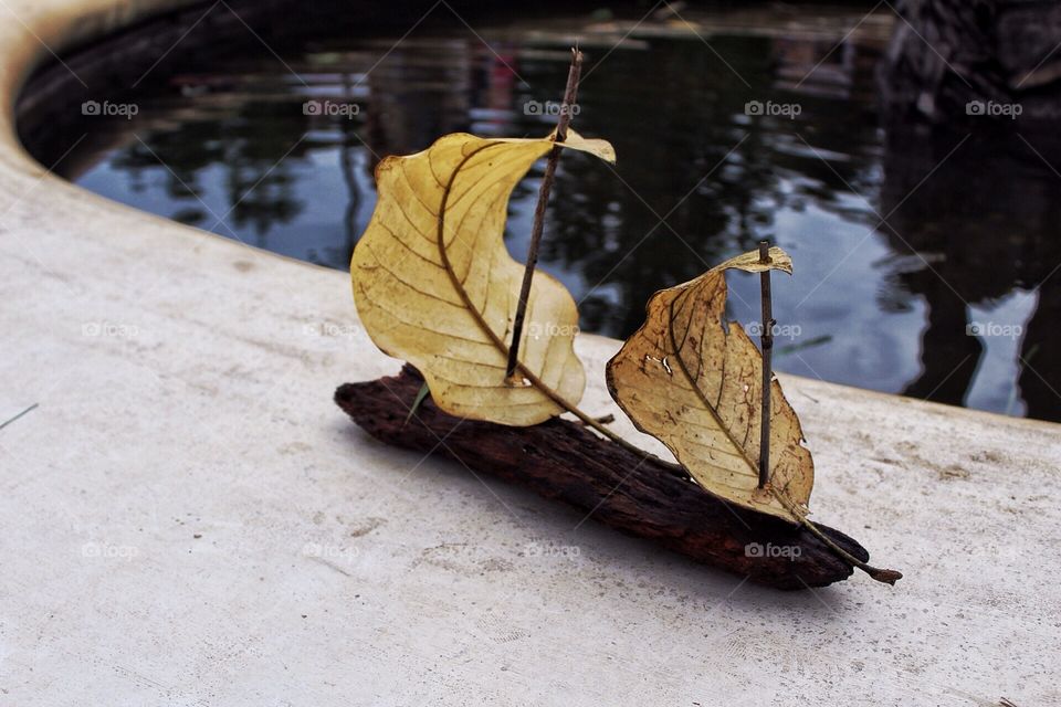 Leaves sailboat