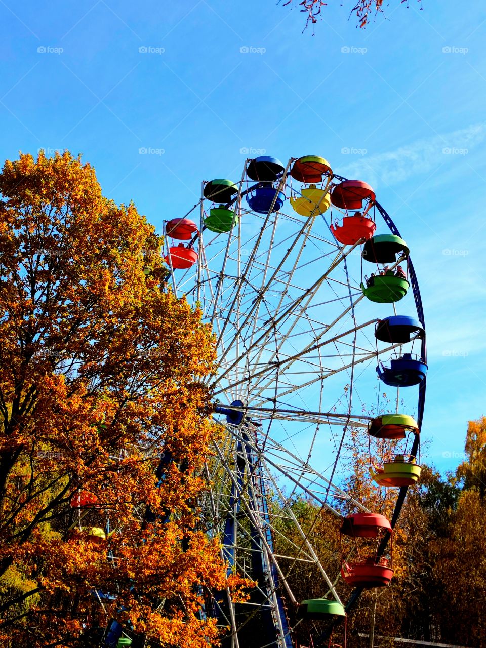 Autumn in the park. The attraction "Ferris Wheel" and multicolored autumn trees.