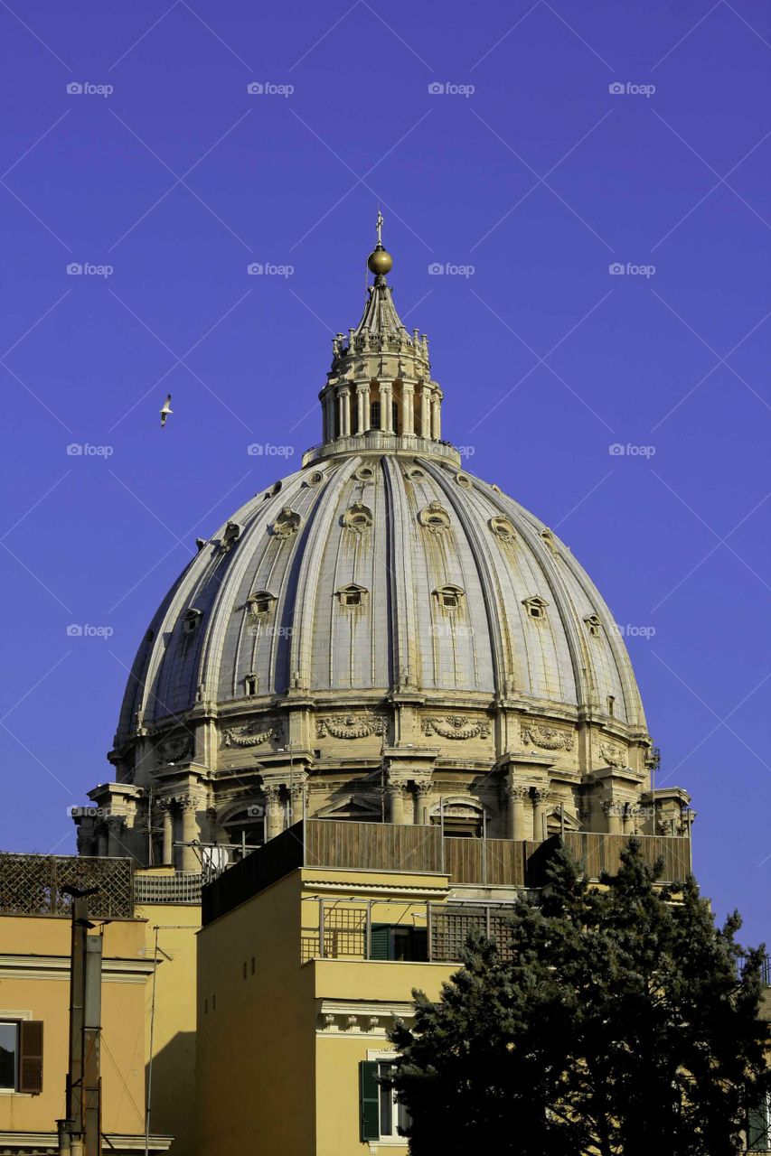The Vatican Roof Cathedral