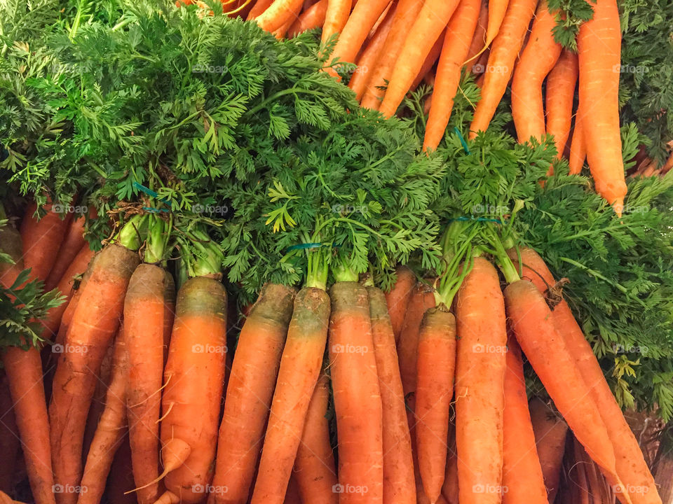 Heap of fresh harvested orange colored carrot ready for sale at farmers market.