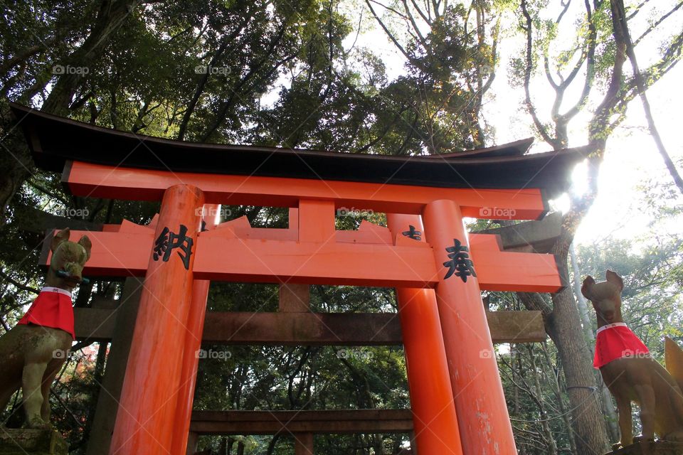Fushimi-Inari (1000 gates) Kyoto, Japan