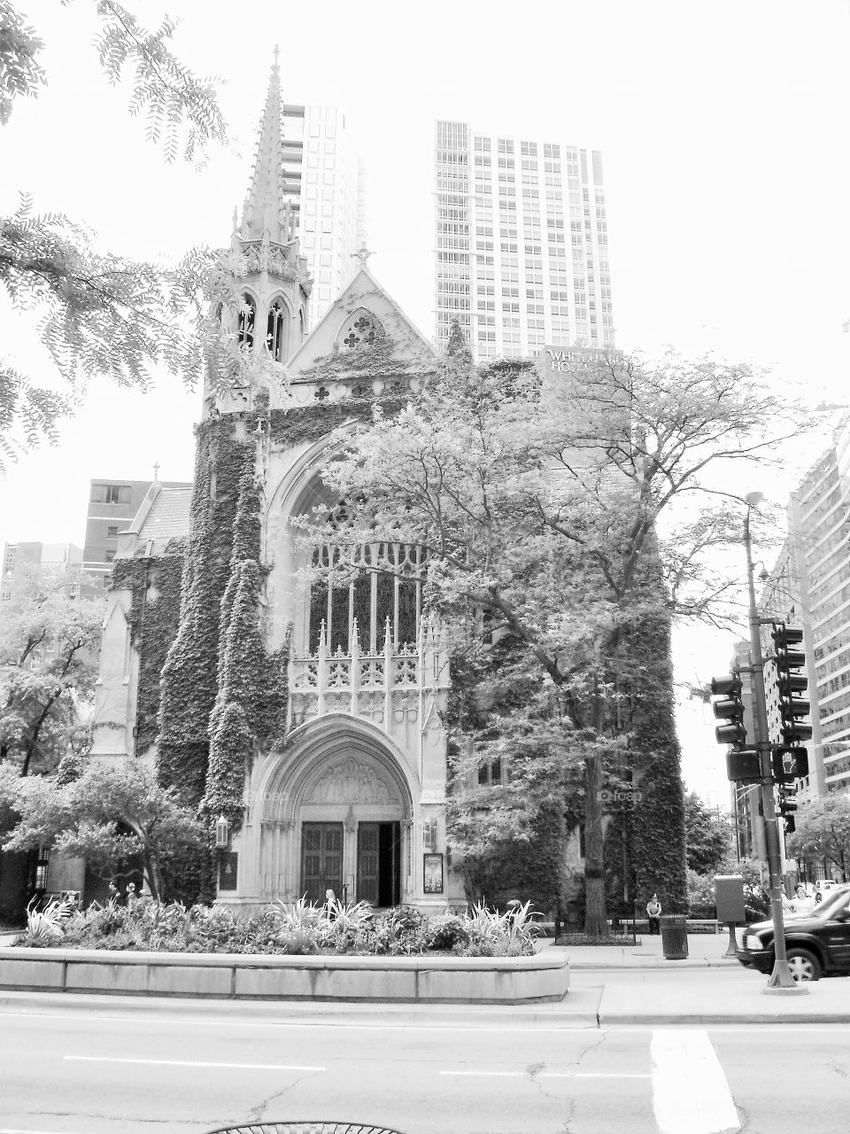 Ivy covered church. Photo taken in Chicago