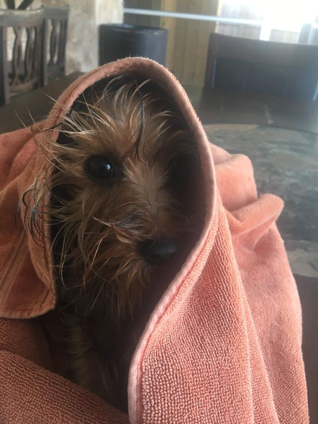 Peek A Boo