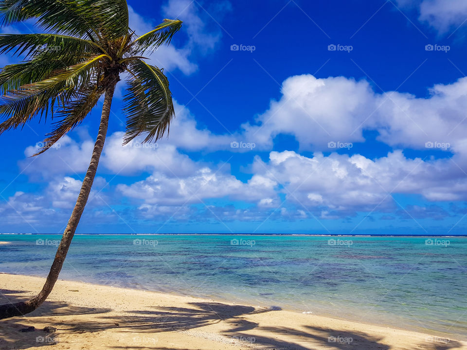 cook islands beach