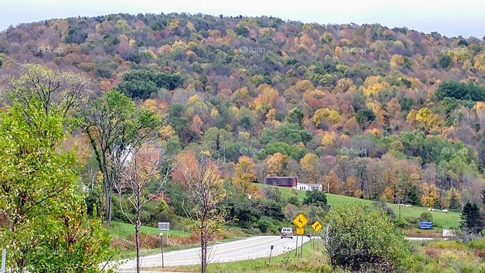 The hills of western NYS
