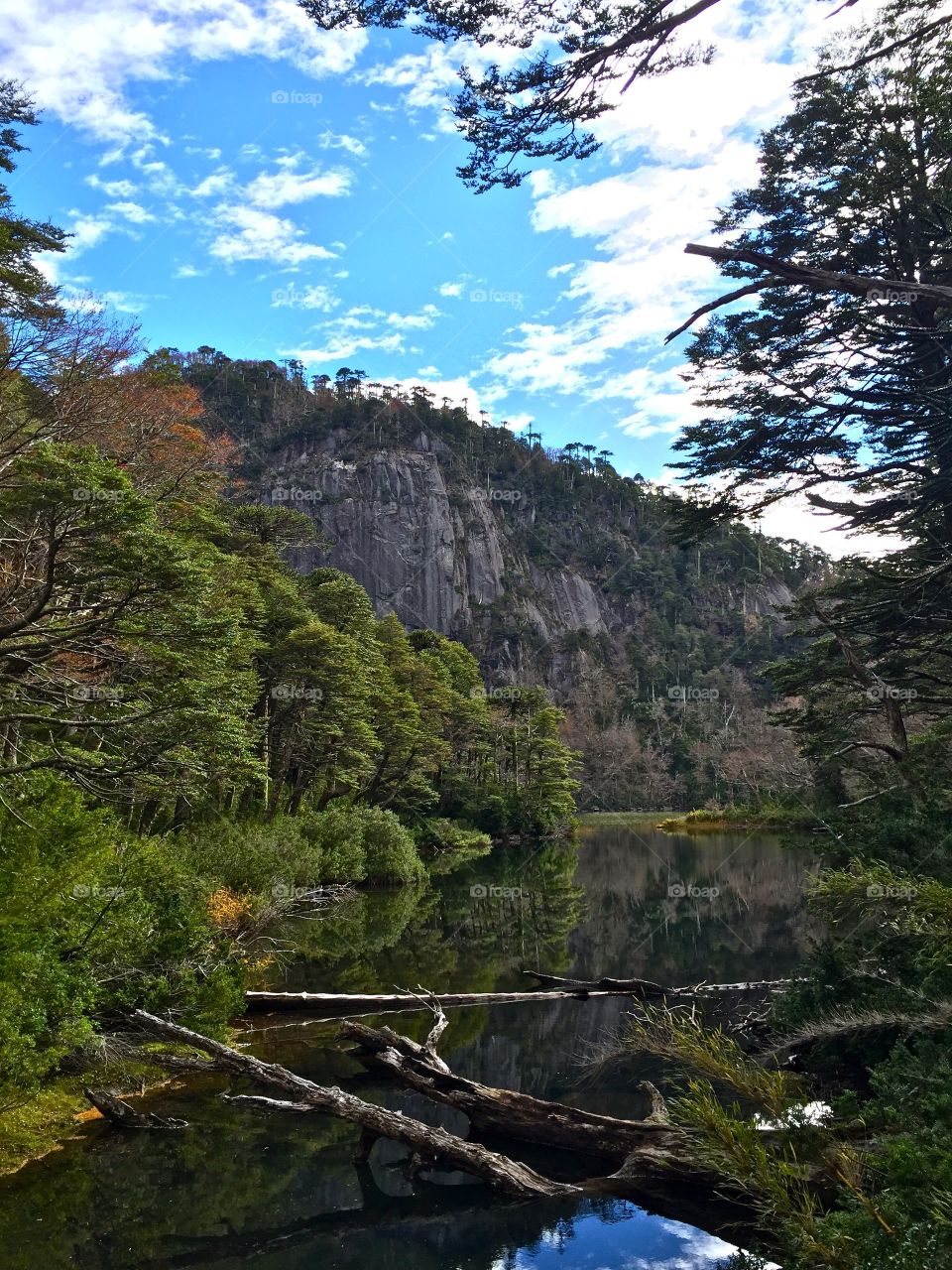 Hike in southern Chile