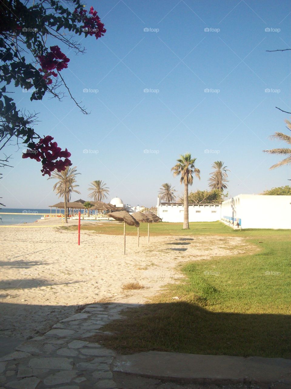 Travel in Tunisia