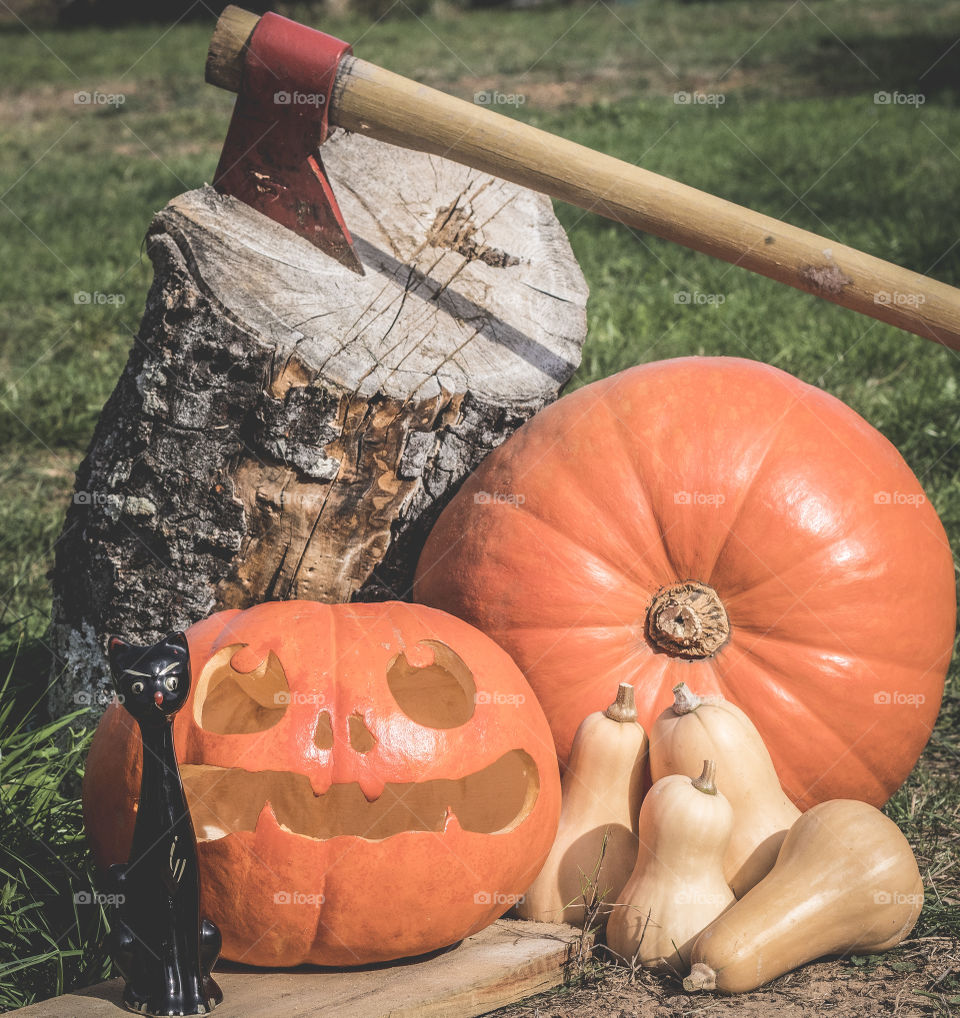 A Jack o lantern sits among other pumpkin and squash with a ceramic black cat next to it, behind the display is a log with an axe in it