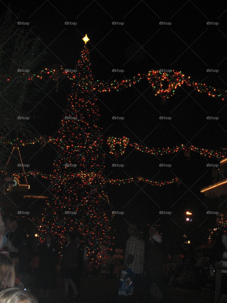 Christmas tree in light