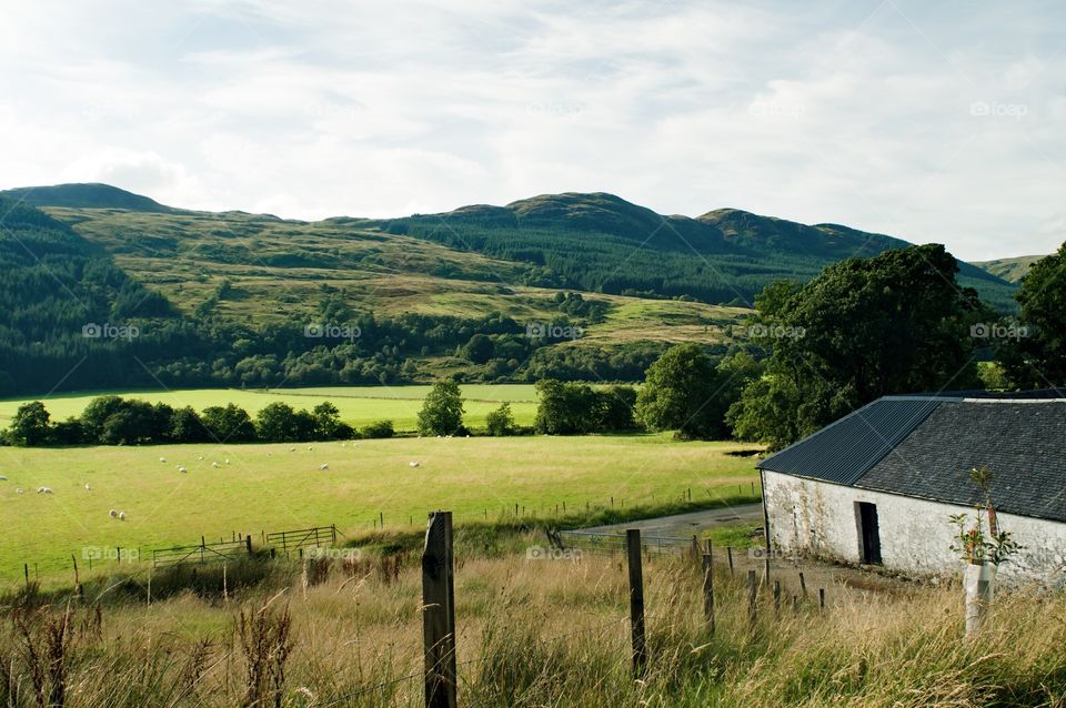 View of farm