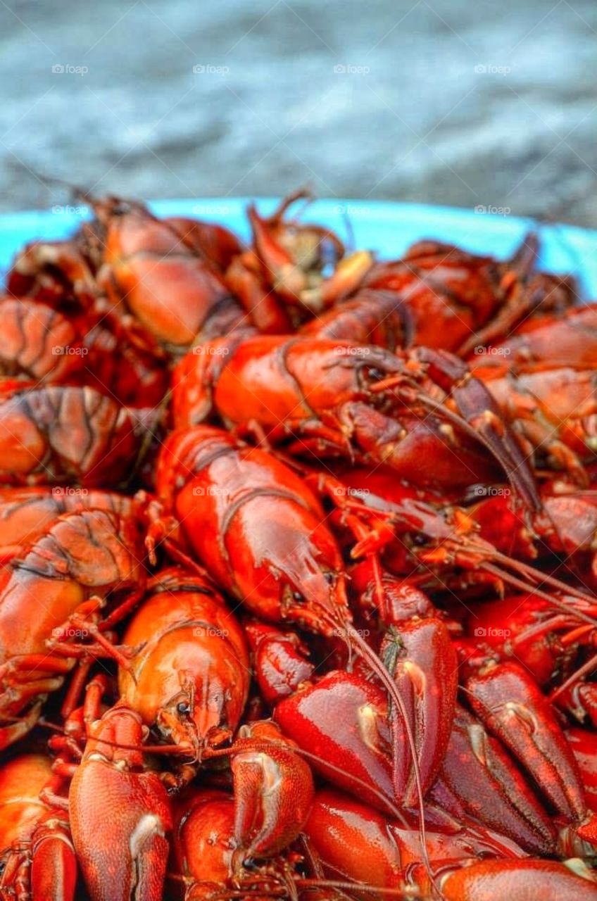 Crawfish