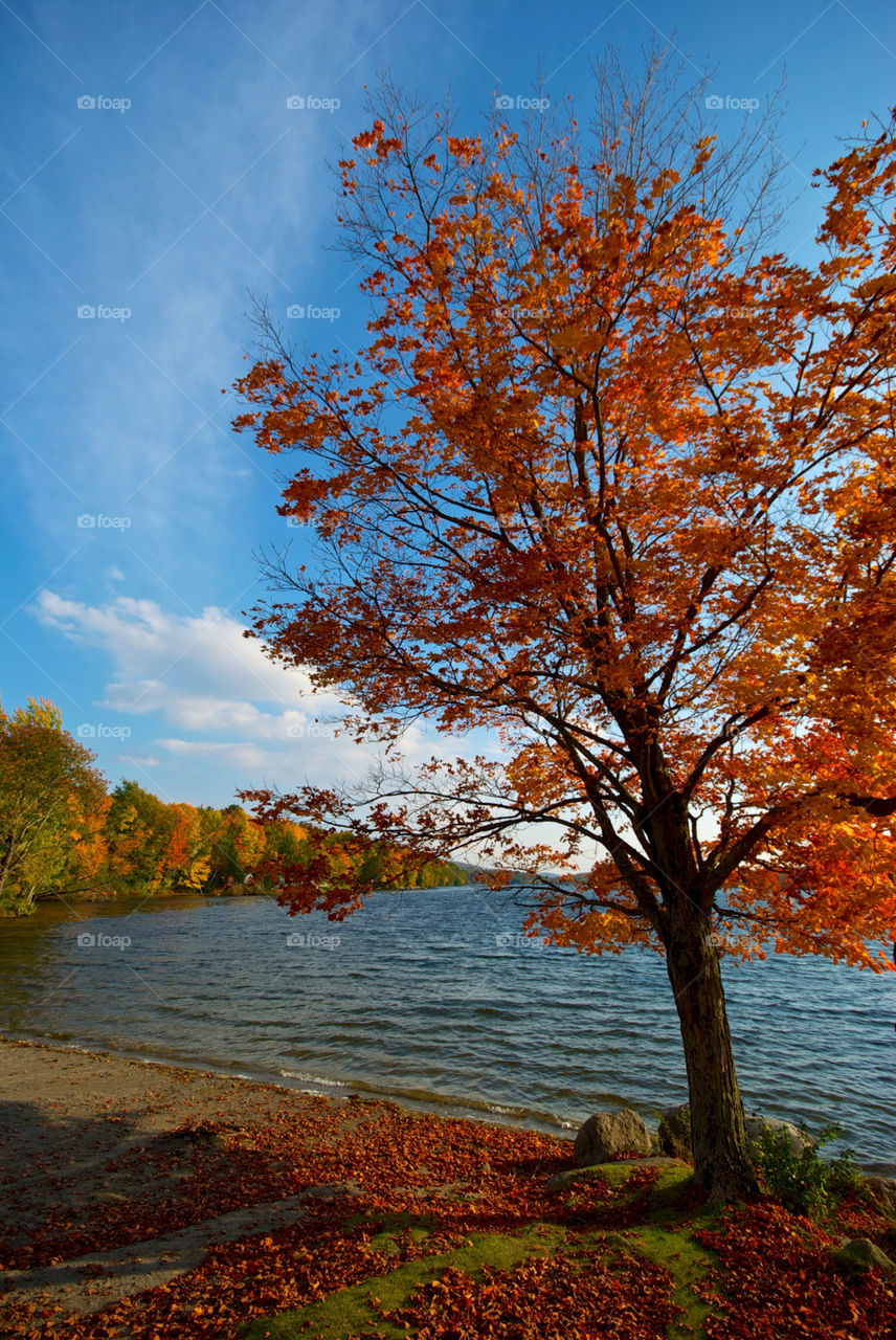 mountain color leaves lake by mhorvath