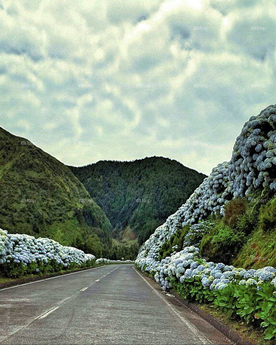 Picturesque roads of São Miguel island.
