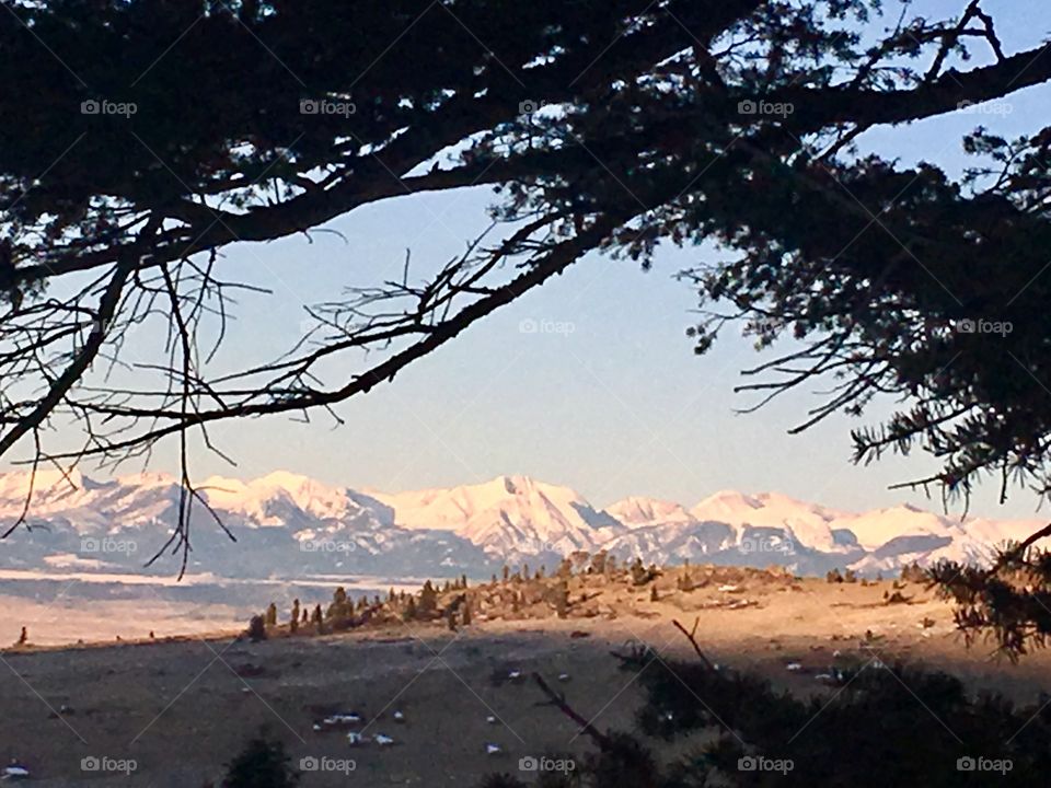 Snow, Landscape, Mountain, Tree, No Person