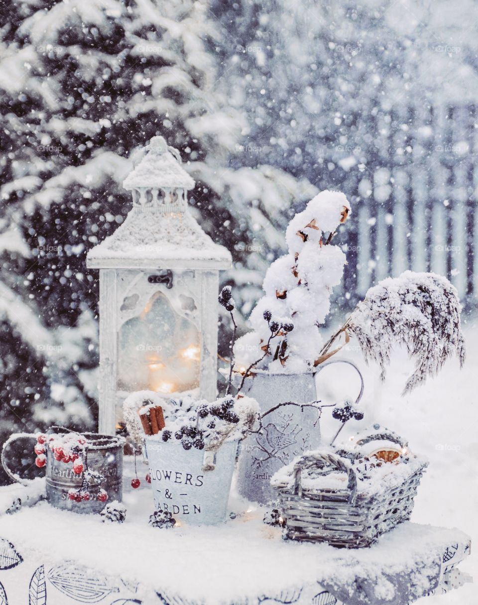 Garden still life with snow in the winter