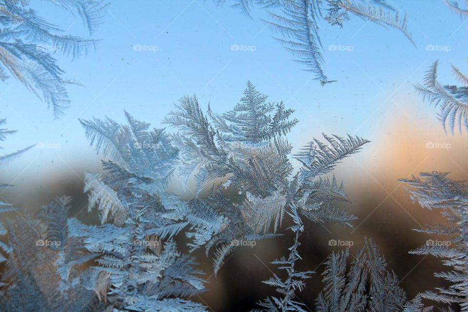 Beautiful formed ice on window