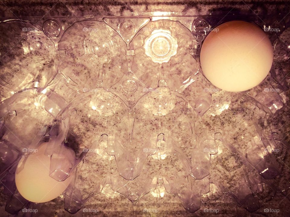 One egg in container