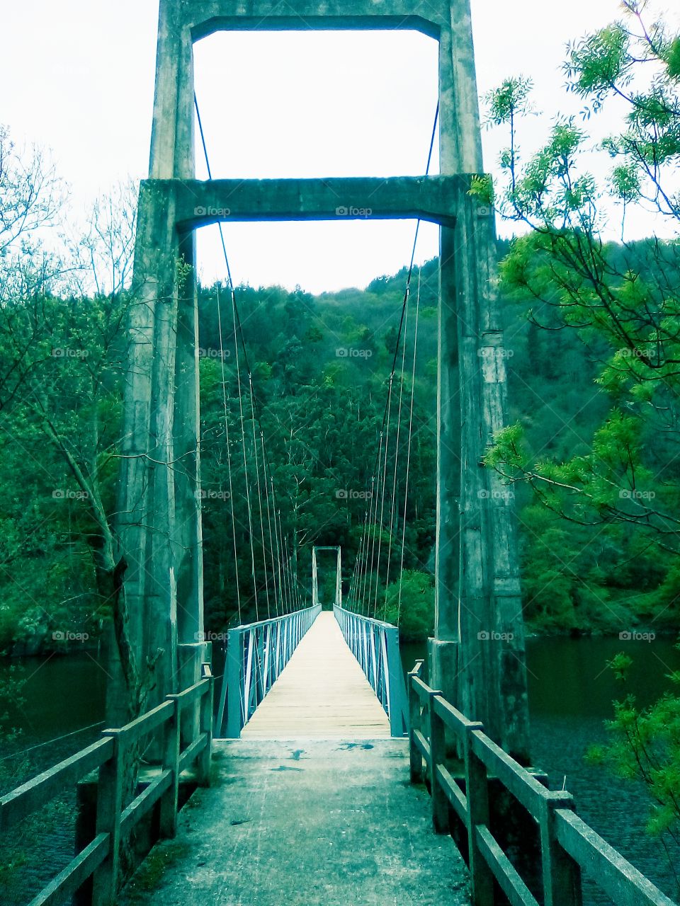 Puente colgante