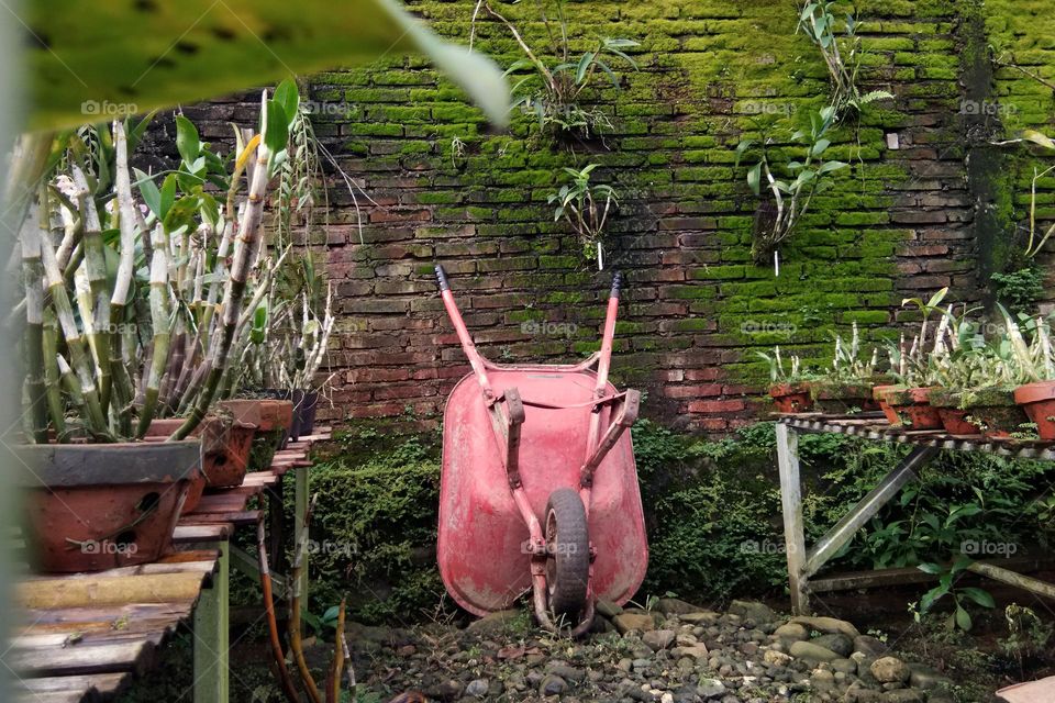 old and rusty wheelbarrow at the garden. against mossy brick wall