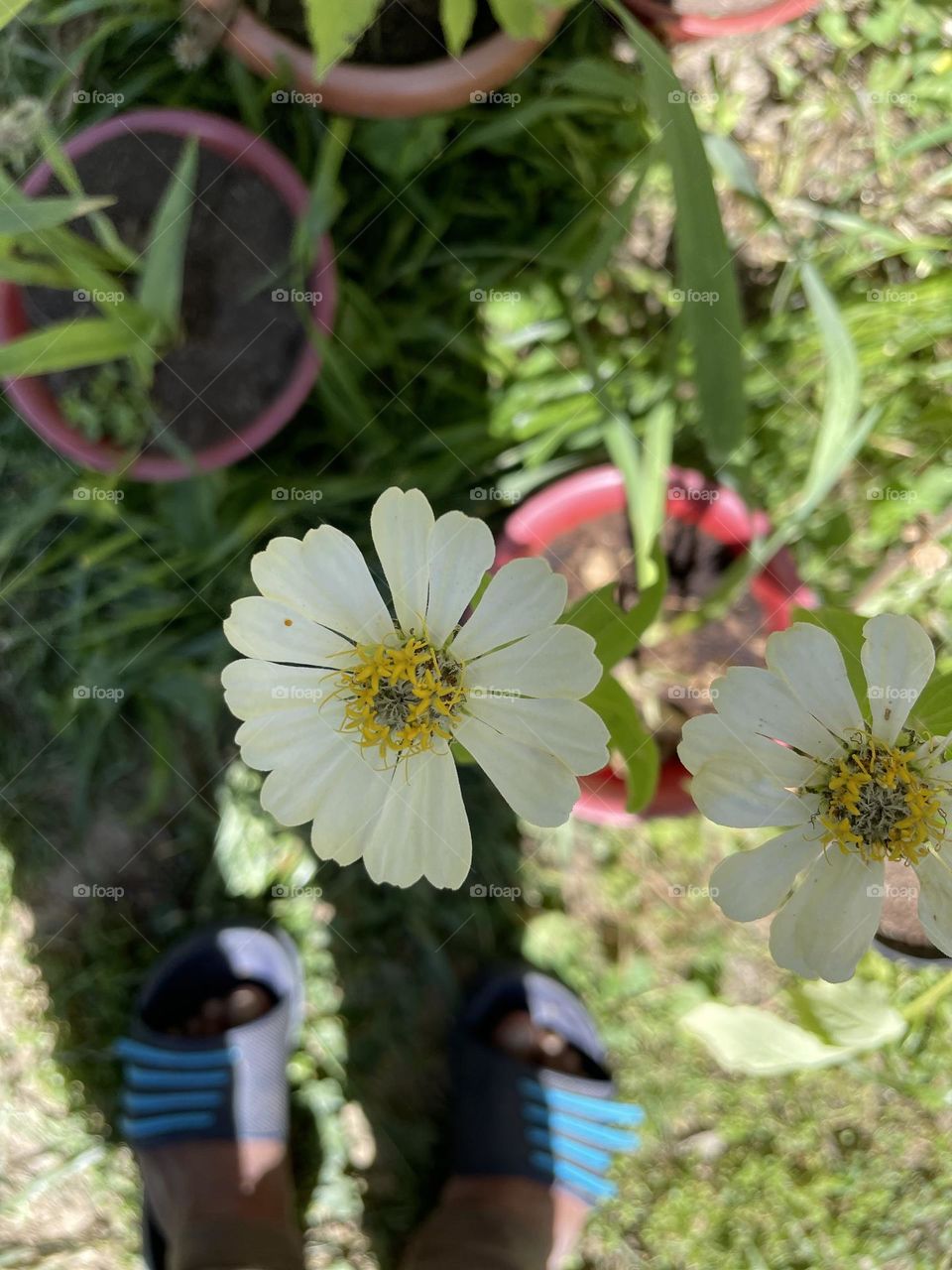 A picture worth thousands appreciations 