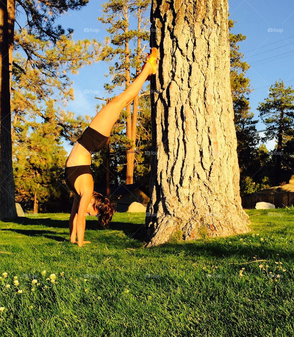 Yoga tree stand